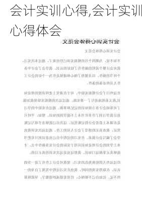 会计实训心得,会计实训心得体会-第2张图片-二喜范文网