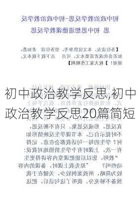 初中政治教学反思,初中政治教学反思20篇简短-第3张图片-二喜范文网