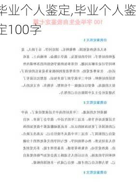 毕业个人鉴定,毕业个人鉴定100字-第3张图片-二喜范文网