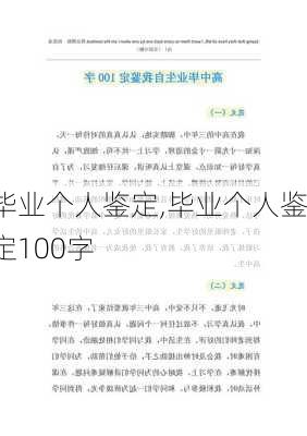 毕业个人鉴定,毕业个人鉴定100字-第2张图片-二喜范文网