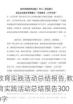 教育实践活动总结报告,教育实践活动总结报告3000字-第3张图片-二喜范文网