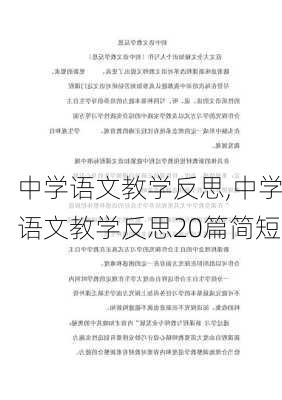 中学语文教学反思,中学语文教学反思20篇简短-第3张图片-二喜范文网