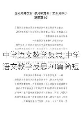 中学语文教学反思,中学语文教学反思20篇简短-第2张图片-二喜范文网