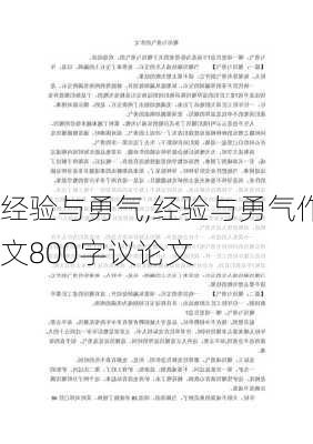 经验与勇气,经验与勇气作文800字议论文-第2张图片-二喜范文网