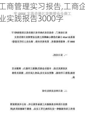 工商管理实习报告,工商企业实践报告3000字