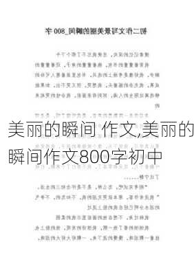 美丽的瞬间 作文,美丽的瞬间作文800字初中-第2张图片-二喜范文网