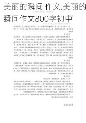 美丽的瞬间 作文,美丽的瞬间作文800字初中-第3张图片-二喜范文网