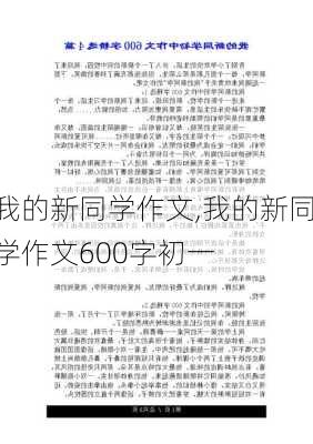 我的新同学作文,我的新同学作文600字初一-第2张图片-二喜范文网