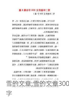 雪的文章,雪的文章300字-第1张图片-二喜范文网