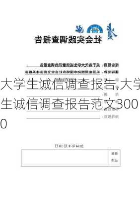 大学生诚信调查报告,大学生诚信调查报告范文3000-第3张图片-二喜范文网