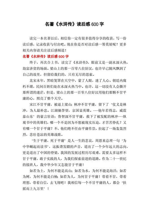 读水浒传有感600字,读水浒传有感600字作文-第2张图片-二喜范文网