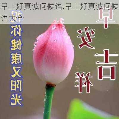 早上好真诚问候语,早上好真诚问候语大全-第3张图片-二喜范文网