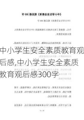 中小学生安全素质教育观后感,中小学生安全素质教育观后感300字-第1张图片-二喜范文网