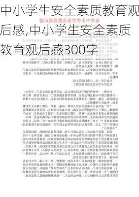 中小学生安全素质教育观后感,中小学生安全素质教育观后感300字-第3张图片-二喜范文网