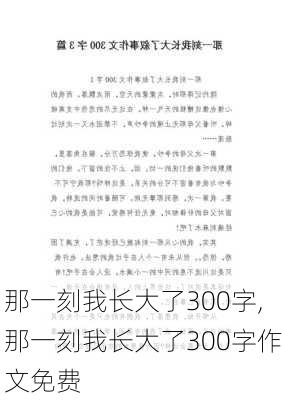 那一刻我长大了300字,那一刻我长大了300字作文免费-第3张图片-二喜范文网