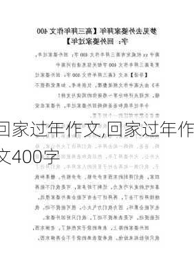 回家过年作文,回家过年作文400字-第2张图片-二喜范文网