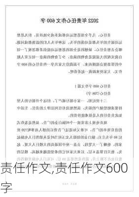 责任作文,责任作文600字-第1张图片-二喜范文网