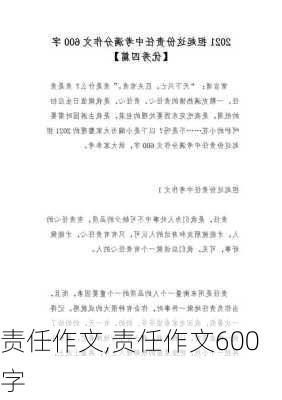 责任作文,责任作文600字-第3张图片-二喜范文网