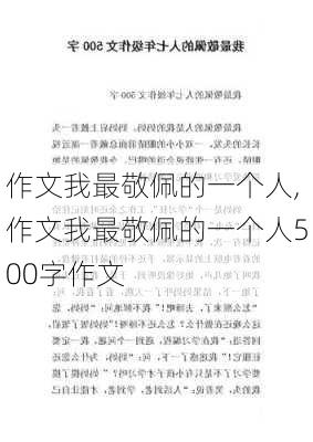 作文我最敬佩的一个人,作文我最敬佩的一个人500字作文-第3张图片-二喜范文网