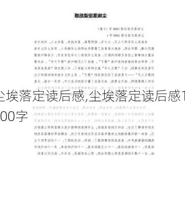 尘埃落定读后感,尘埃落定读后感1000字-第3张图片-二喜范文网