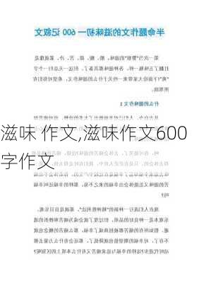 滋味 作文,滋味作文600字作文-第3张图片-二喜范文网