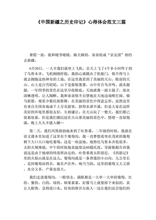 中国新疆之历史印记心得体会,中国新疆之历史印记心得体会300字-第3张图片-二喜范文网