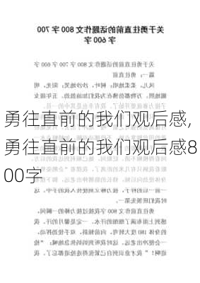 勇往直前的我们观后感,勇往直前的我们观后感800字-第3张图片-二喜范文网