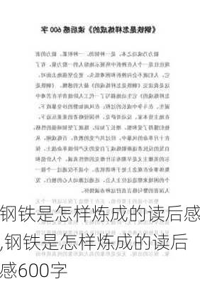 钢铁是怎样炼成的读后感,钢铁是怎样炼成的读后感600字-第2张图片-二喜范文网