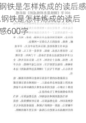 钢铁是怎样炼成的读后感,钢铁是怎样炼成的读后感600字-第3张图片-二喜范文网