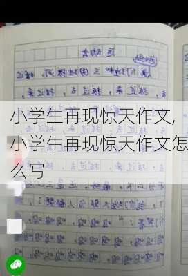 小学生再现惊天作文,小学生再现惊天作文怎么写-第1张图片-二喜范文网