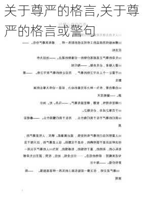 关于尊严的格言,关于尊严的格言或警句-第3张图片-二喜范文网