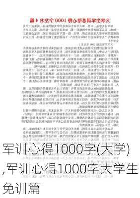 军训心得1000字(大学),军训心得1000字大学生免训篇