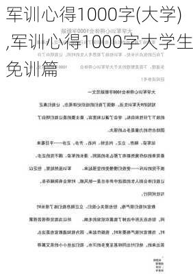 军训心得1000字(大学),军训心得1000字大学生免训篇-第2张图片-二喜范文网