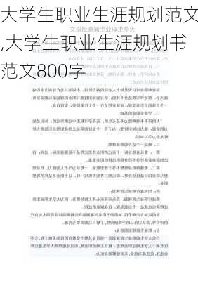 大学生职业生涯规划范文,大学生职业生涯规划书范文800字-第3张图片-二喜范文网