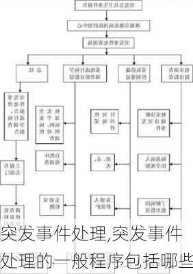 突发事件处理,突发事件处理的一般程序包括哪些-第1张图片-二喜范文网