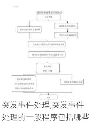 突发事件处理,突发事件处理的一般程序包括哪些-第2张图片-二喜范文网