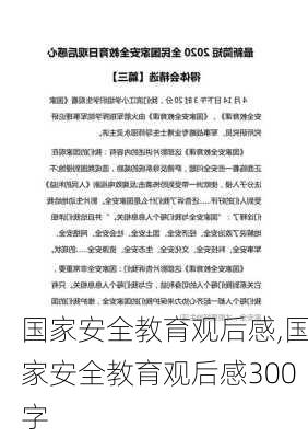 国家安全教育观后感,国家安全教育观后感300字-第3张图片-二喜范文网