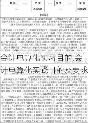 会计电算化实习目的,会计电算化实践目的及要求-第1张图片-二喜范文网