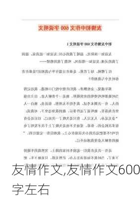 友情作文,友情作文600字左右-第2张图片-二喜范文网