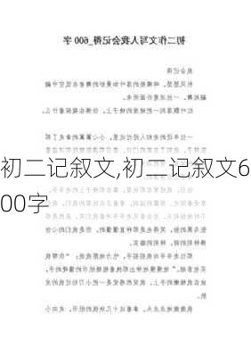 初二记叙文,初二记叙文600字-第3张图片-二喜范文网