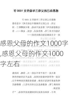 感恩父母的作文1000字,感恩父母的作文1000字左右-第3张图片-二喜范文网