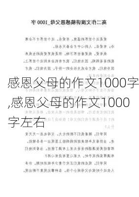 感恩父母的作文1000字,感恩父母的作文1000字左右-第2张图片-二喜范文网