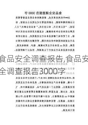 食品安全调查报告,食品安全调查报告3000字