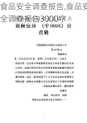 食品安全调查报告,食品安全调查报告3000字-第2张图片-二喜范文网