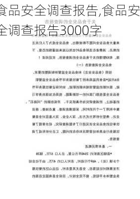 食品安全调查报告,食品安全调查报告3000字-第3张图片-二喜范文网