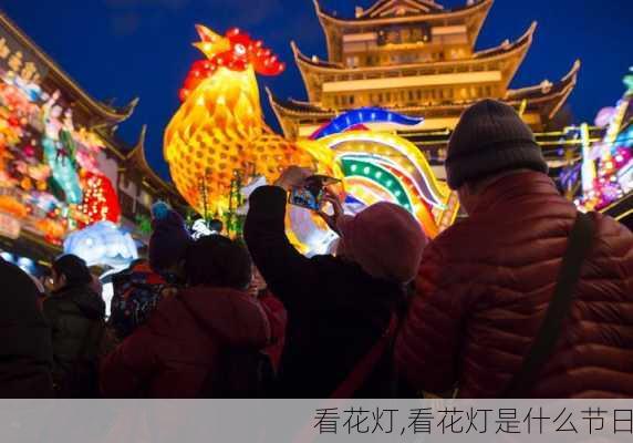 看花灯,看花灯是什么节日-第2张图片-二喜范文网