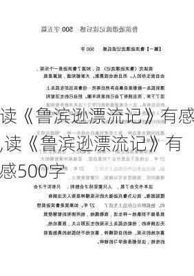 读《鲁滨逊漂流记》有感,读《鲁滨逊漂流记》有感500字-第2张图片-二喜范文网