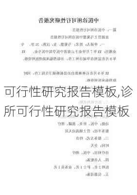 可行性研究报告模板,诊所可行性研究报告模板-第2张图片-二喜范文网