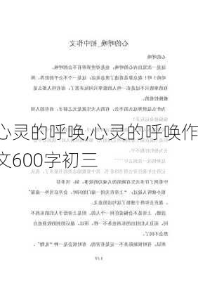 心灵的呼唤,心灵的呼唤作文600字初三