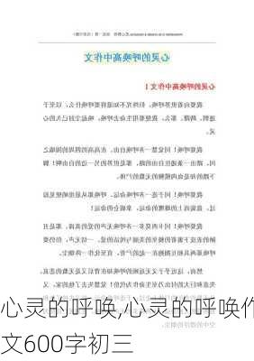 心灵的呼唤,心灵的呼唤作文600字初三-第3张图片-二喜范文网